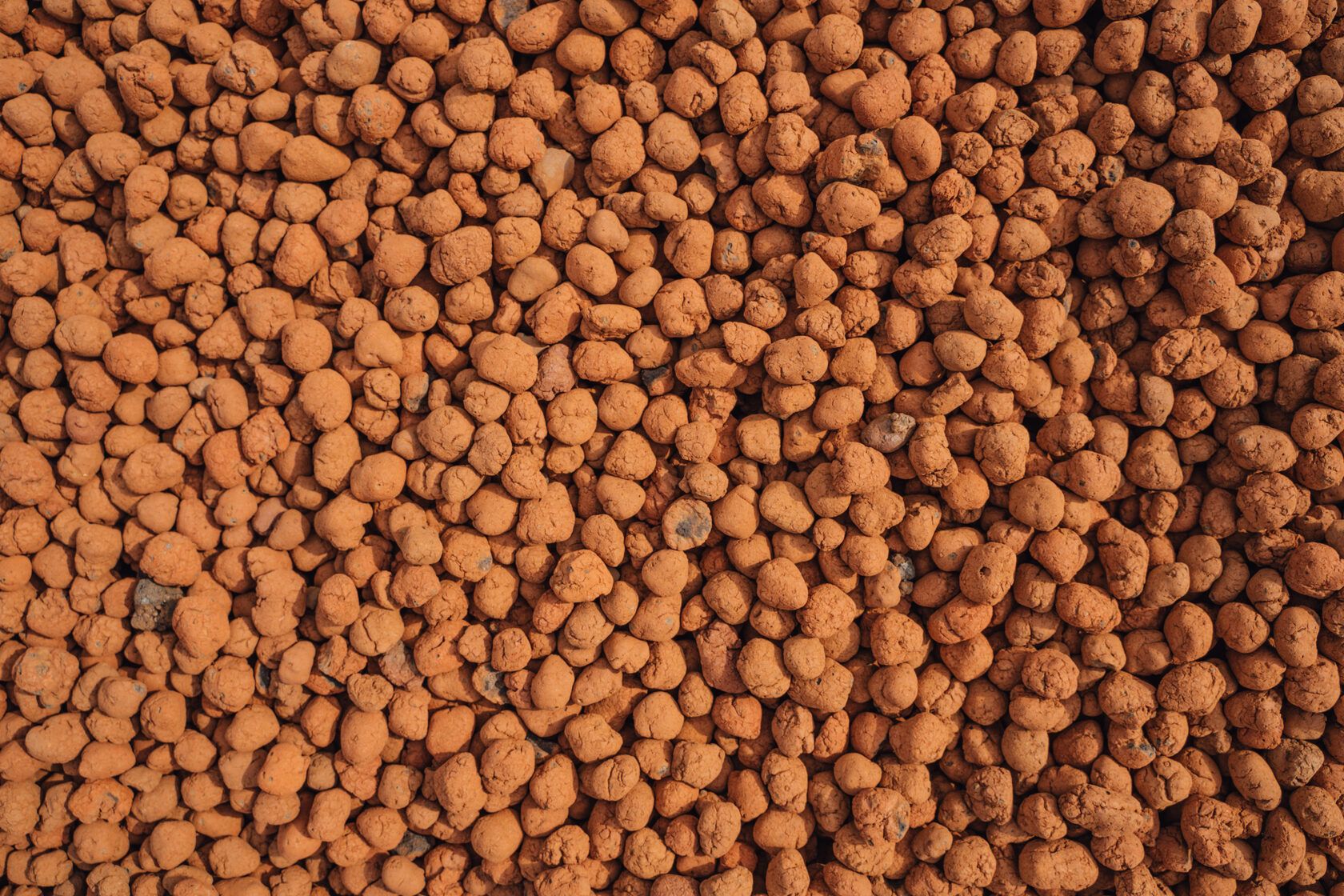 Портрет человека