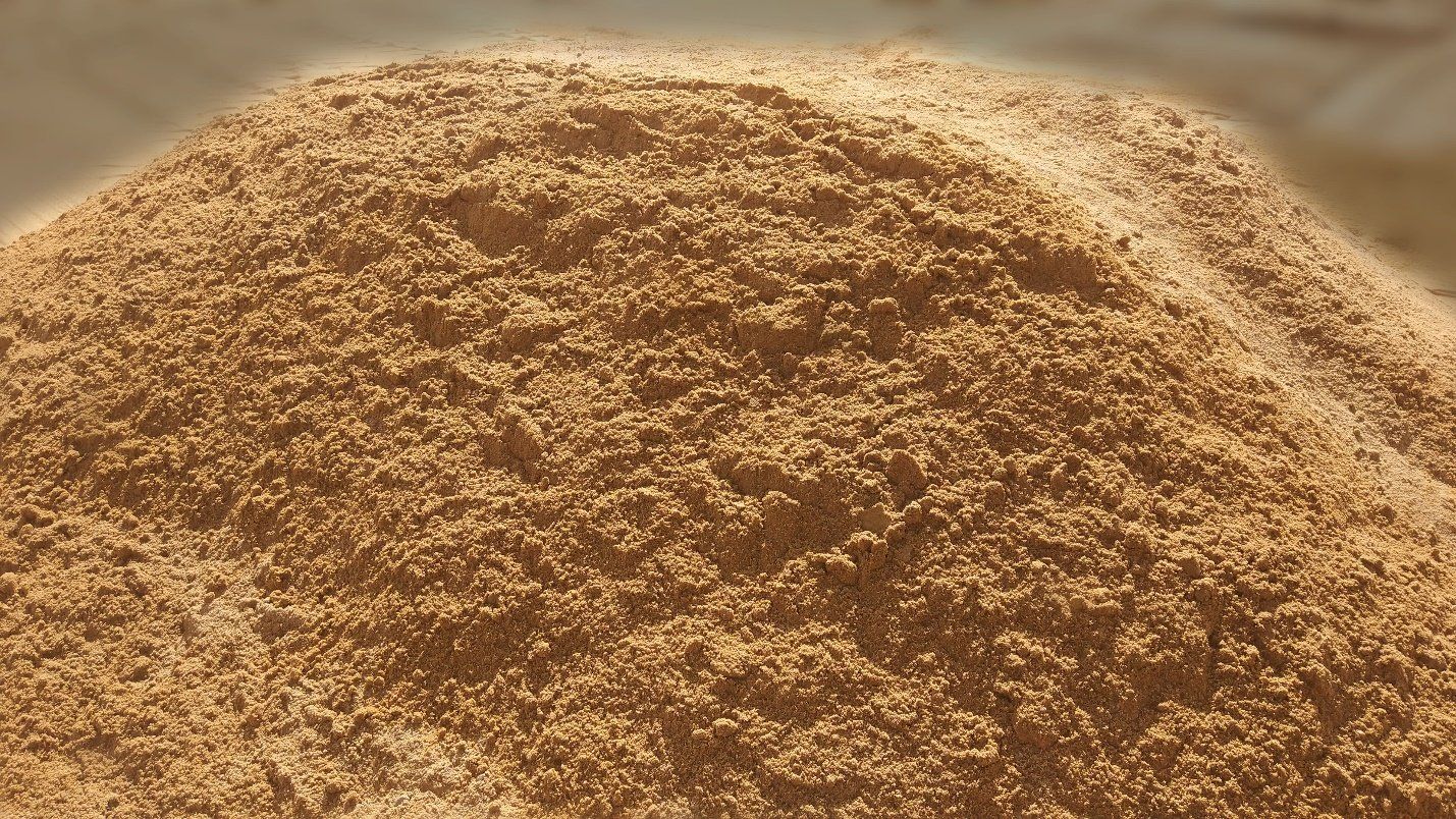 Портрет человека