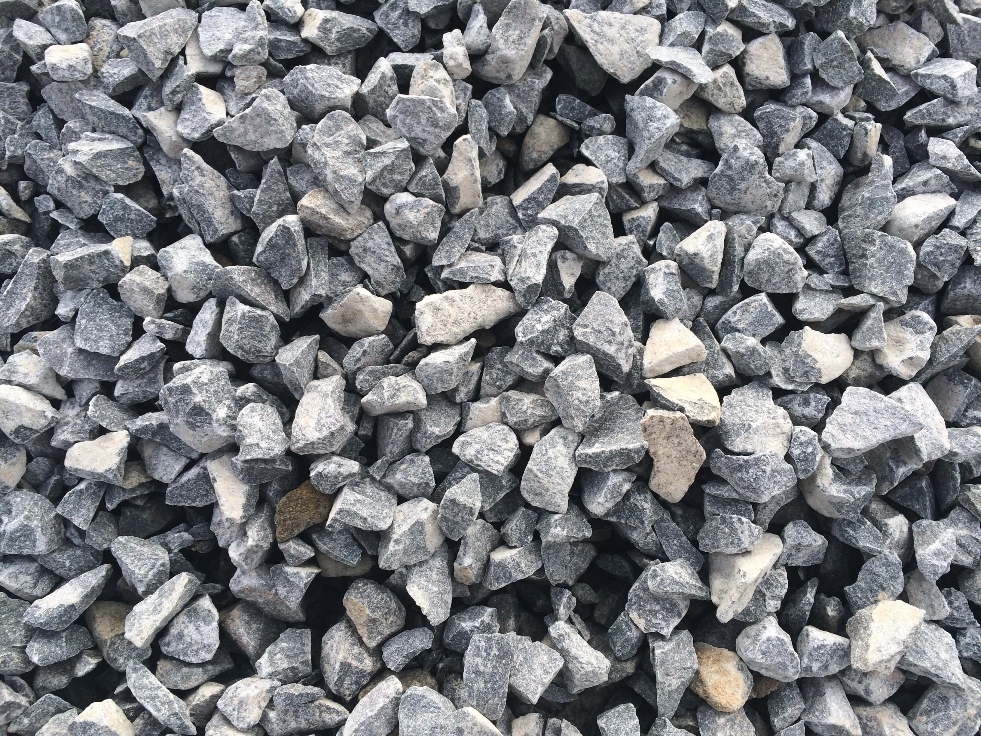 Портрет человека