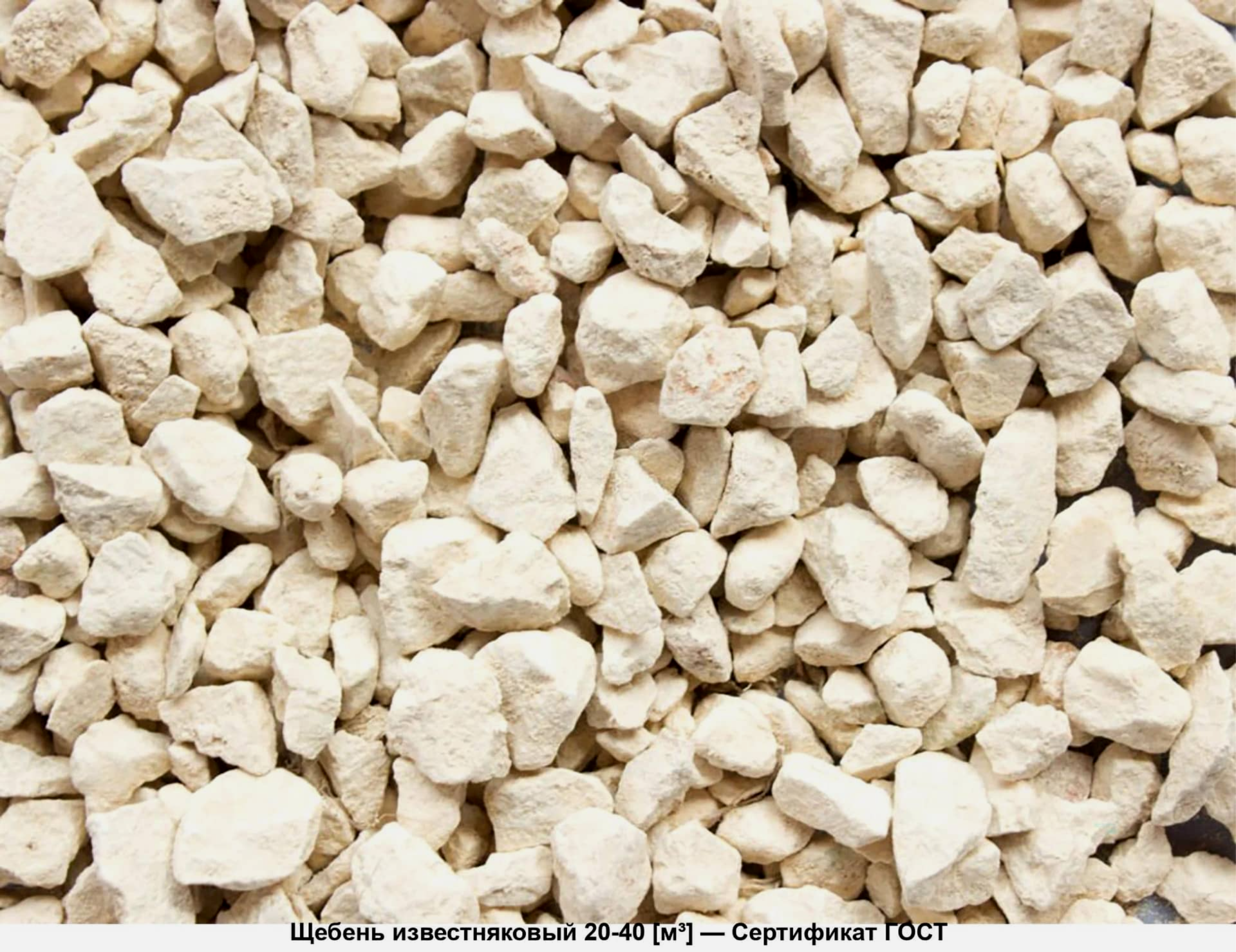 Портрет человека