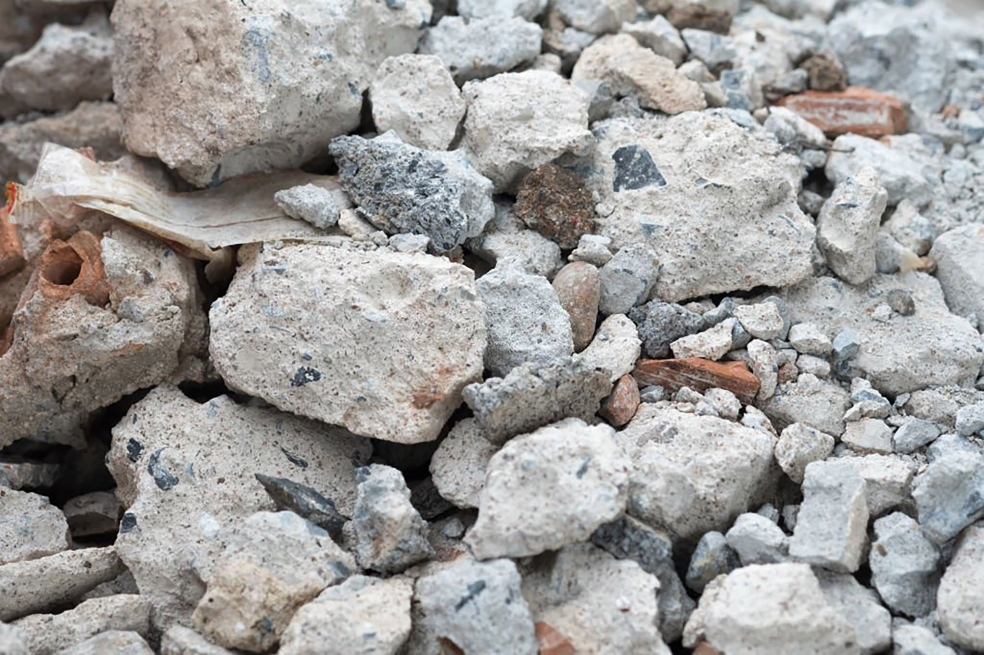 Портрет человека