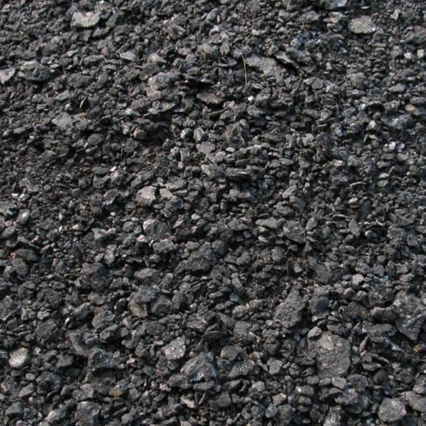 Портрет человека