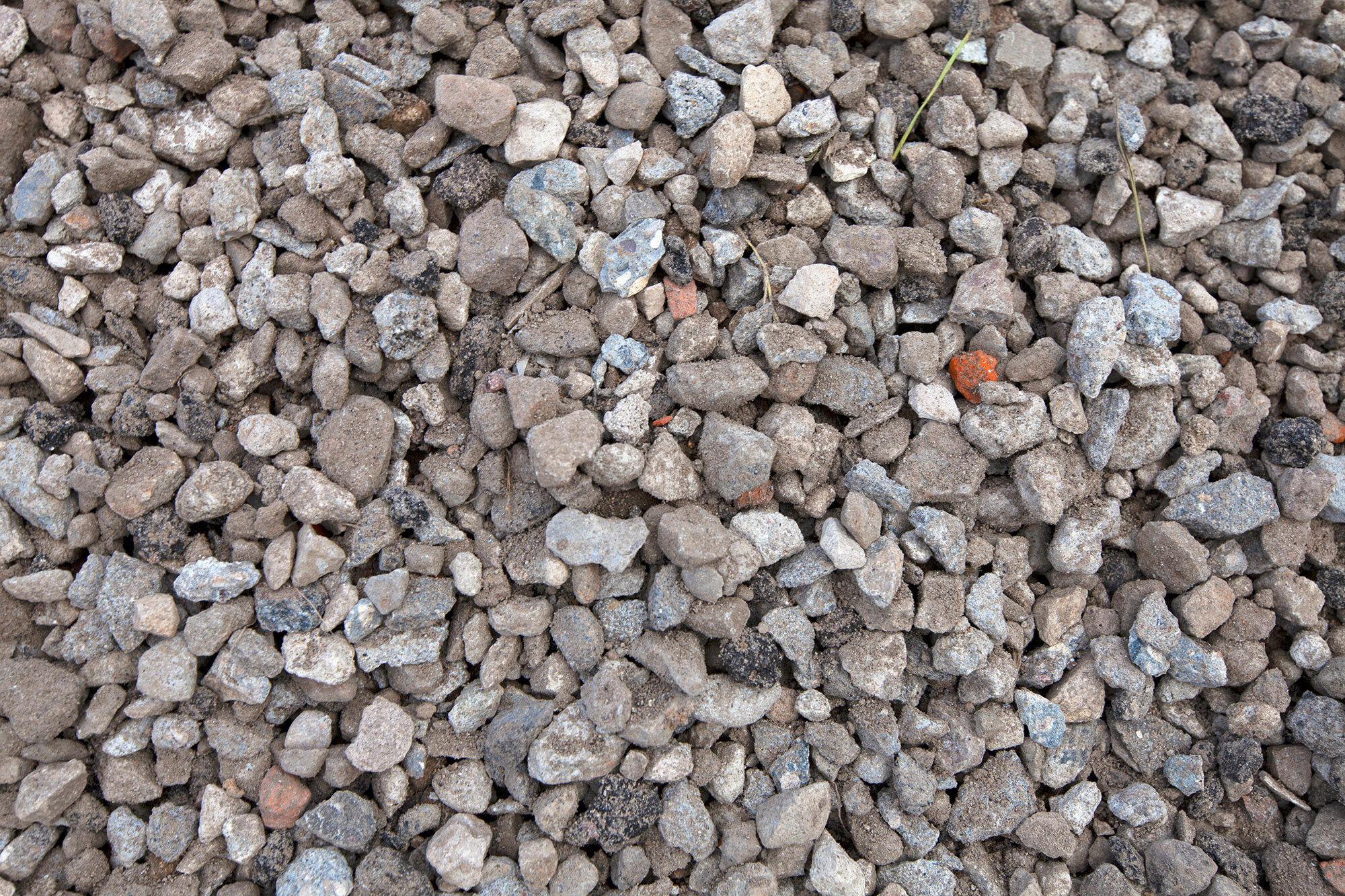 Портрет человека